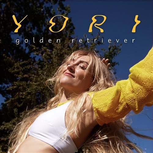 Golden Retriever Yori