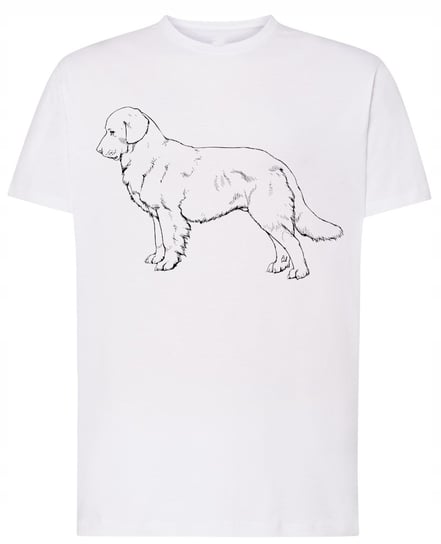 Golden Retriever Pies T-shirt Modny Szkic Rozm.M Inna marka