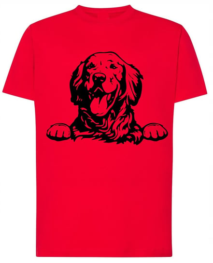 Golden Retriever Pies T-shirt Nadruk Rozm.XL Inna marka