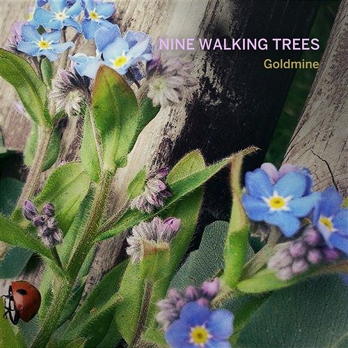Goldmine Nine Walking Trees