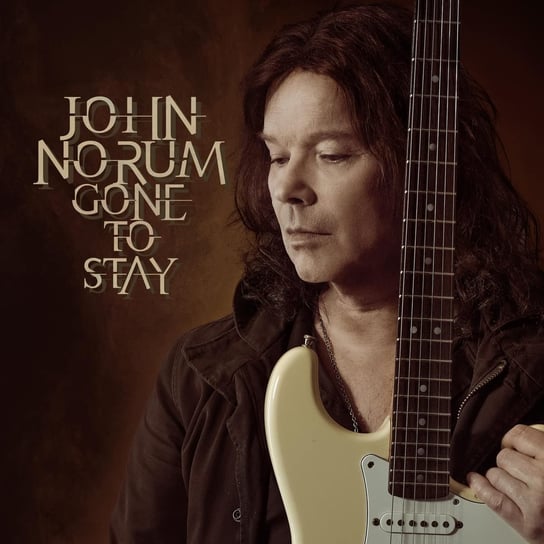 Gone To Stay Norum John