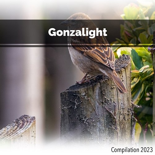 Gonzalight Compilation 2023 John Toso, Mauro Rawn, Benny Montaquila Dj