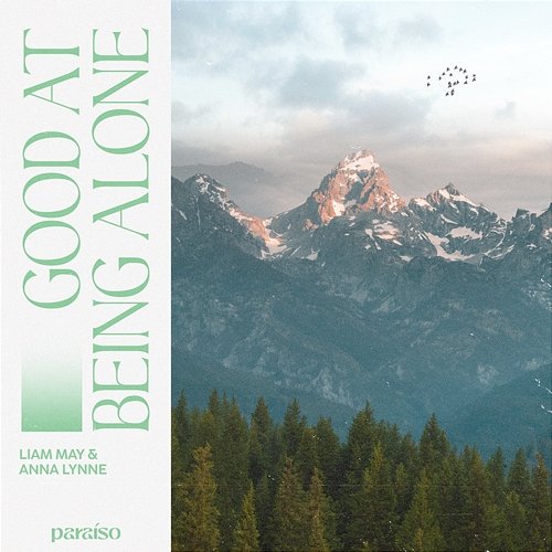 Good At Being Alone Liam May & Anna Lynne