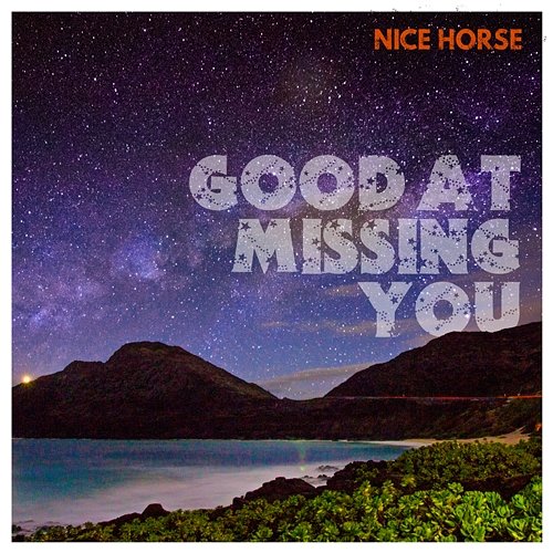 Good At Missing You Nice Horse
