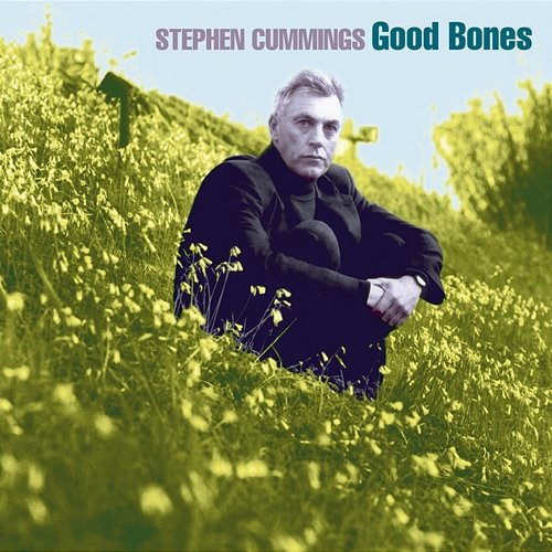Good Bones Stephen Cummings