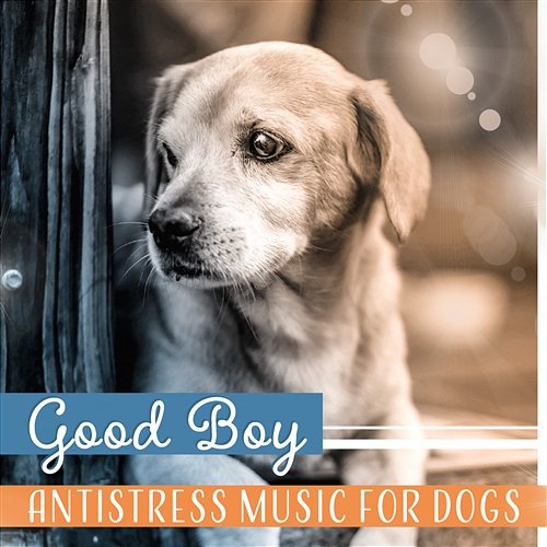 Good Boy – Antistress Music for Dogs: Animals Sound Therapy, Best Friend, Healing Harmony, Soothing Ambient, Canine Relaxation Pet Relax Academy