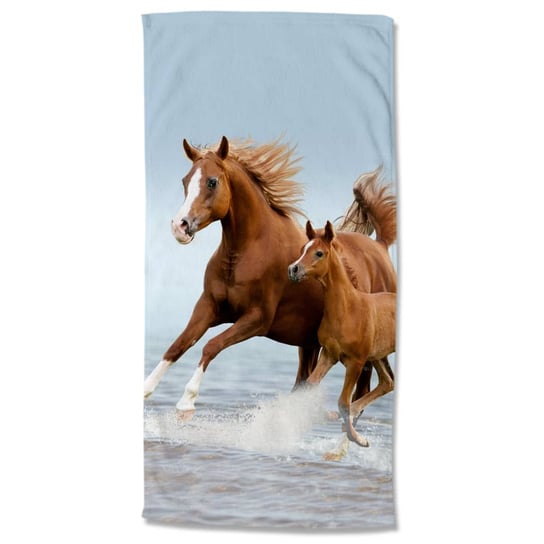 Good Morning Ręcznik plażowy FREE, 75x150 cm, brązowo-niebieski Good Morning