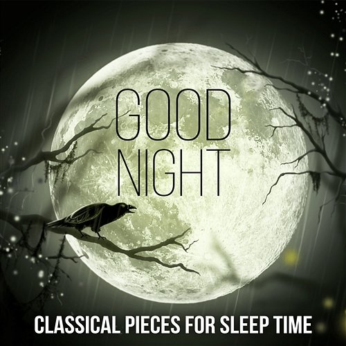 Good Night: Classical Pieces for Sleep Time, Close Your Eyes & Sweet Dreams Wladimir Holek, Klemens Wichrowski