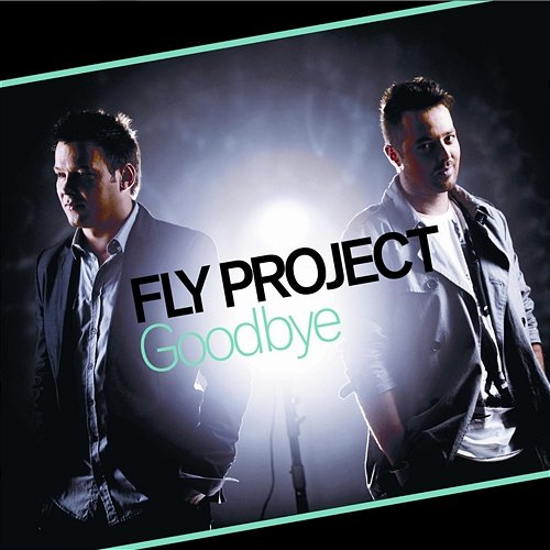 Goodbye Fly Project