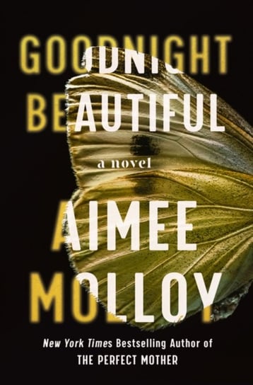Goodnight Beautiful. A Novel Molloy Aimee