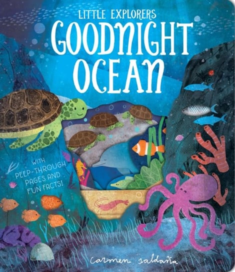 Goodnight Ocean Becky Davies
