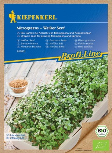 Gorczyca Weißer Senf - nasiona na microgreens - Kiepenkerl KIEPENKERL
