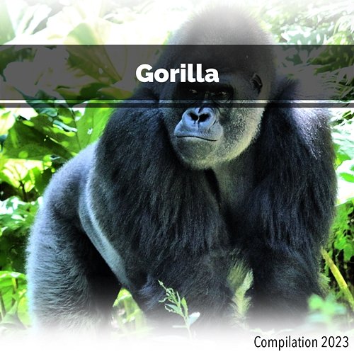 Gorilla Compilation 2023 John Toso, Mauro Rawn, Simone Dalla Vecchia