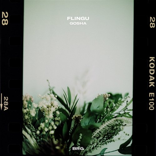 Gosha Flingu & BRG Beats