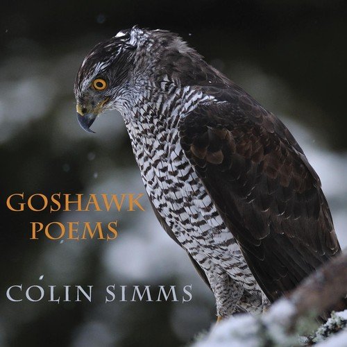 Goshawk Poems Colin Simms