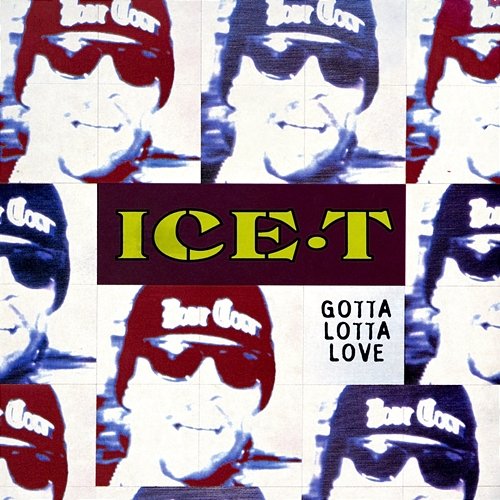 Gotta Lotta Love Ice T