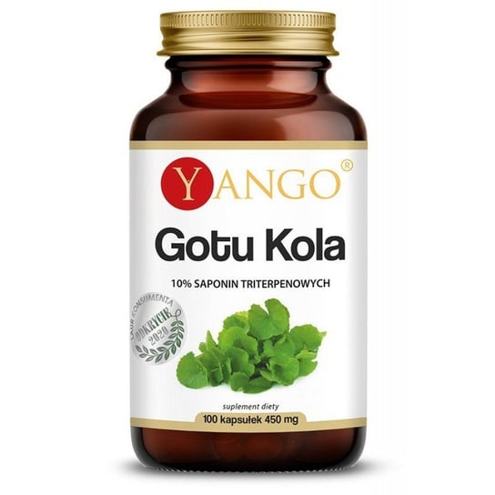 Gotu kola - ekstrakt 10% saponin triterpenowych - Suplement diety, 100 kapsułek, Yango Yango
