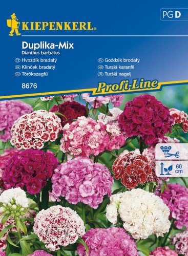 Goździk brodaty Duplika-Mix Dianthus barbatus KIEPENKERL