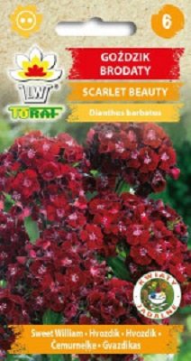 Goździk brodaty Scarlet Beauty nasiona 0,5 g. Inna marka