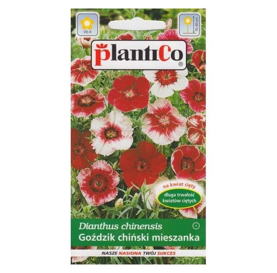 Goździk Chiński Mix 1g PlantiCo PlantiCo