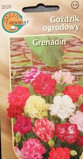 Goździk ogrodowy Grenadin nasiona cięte kwiaty donice Inna marka
