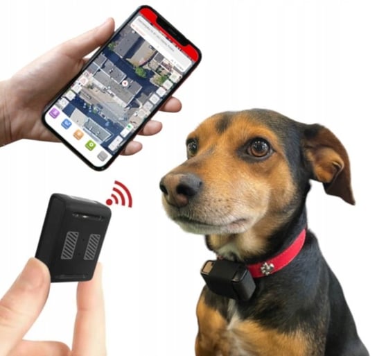 GPS lokalizator draVires dla psa kota zwierzaka polska aplikacja Inna marka