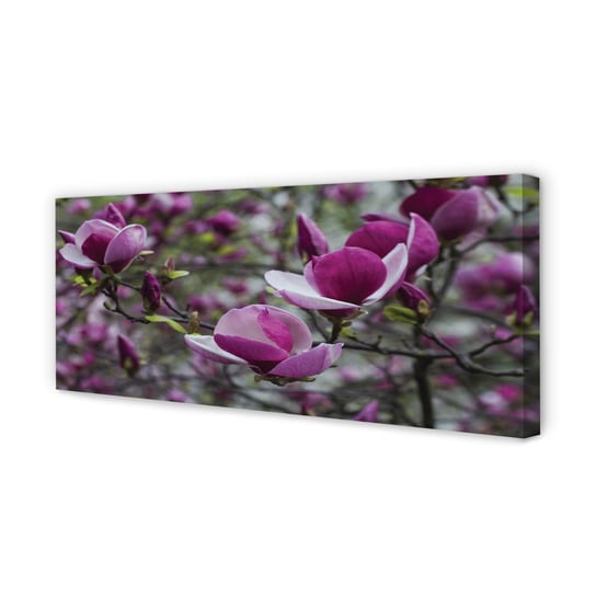 Grafika na płótnie TULUP Fioletowa magnolia 125x50 cm Tulup