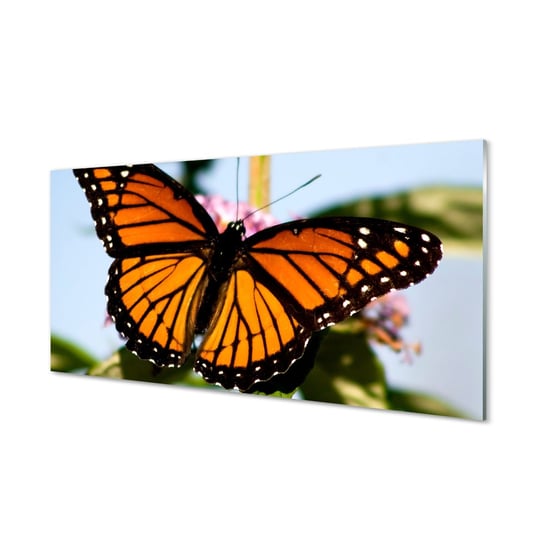 Grafika obraz na szkle TULUP Kolorowy motyl 100x50 cm Tulup