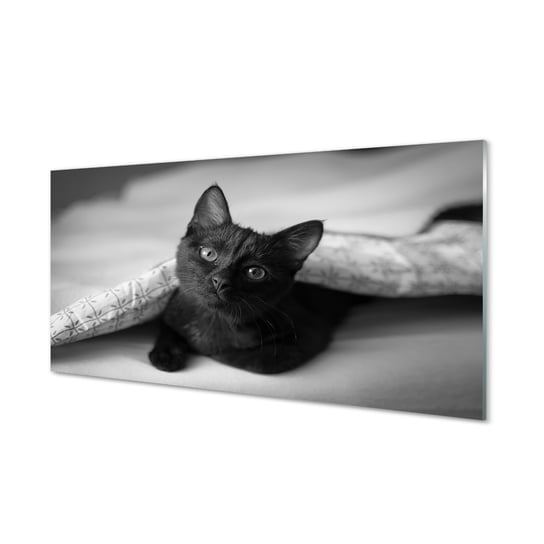 Grafika obraz na szkle TULUP Kot pod kołdrą 100x50 cm Tulup