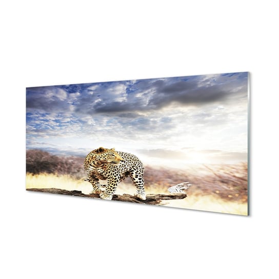 Grafika obraz na szkle TULUP Pantera chmury 100x50 cm Tulup