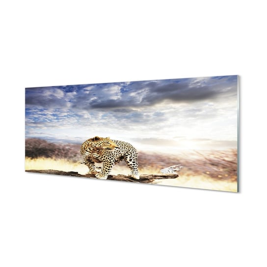 Grafika obraz na szkle TULUP Pantera chmury 125x50 cm cm Tulup