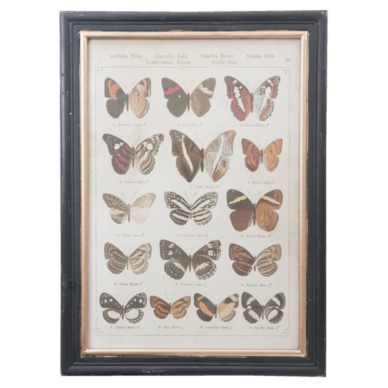 Grafika z 16 motylami CLAYRE&EEF, 40x2x55 cm Clayre & Eef
