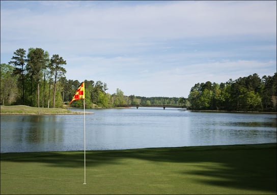 Grand National Golf Course - Part of the Robert Trent Jones Trail in Auburn/Opelika, Alabama., Carol Highsmith - plakat 29,7x21 cm Galeria Plakatu
