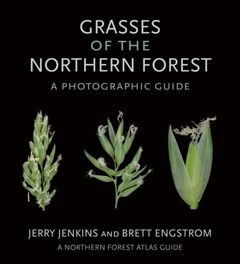 Grasses of the Northern Forest: A Photographic Guide Jerry Jenkins, Brett Engstrom