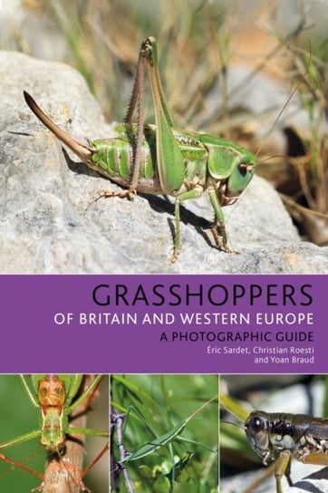 Grasshoppers of Britain and Western Europe: A Photographic Guide Opracowanie zbiorowe