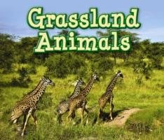 Grassland Animals Smith Sian