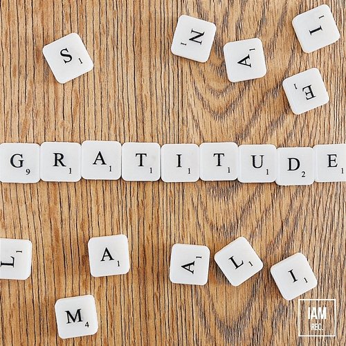 Gratitude Steven Fernsby