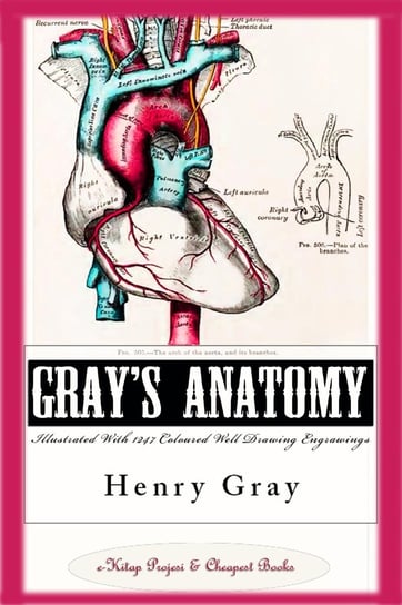 Gray’s Anatomy (Illustrated With 1247 Coloured Well Drawing Engrawings) Henry Gray