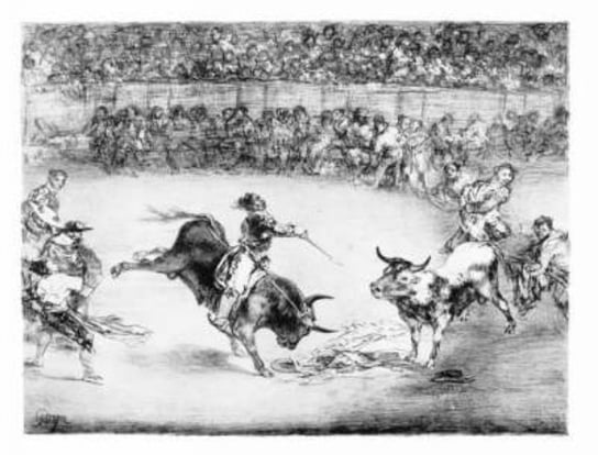 Great Goya Etchings: The Proverbs, the Tauromaquia and the Bulls of Bordeaux Francisco de Goya