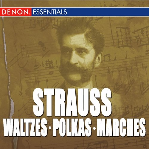 "Great Strauss Waltzes, Polkas & Marches: Alfred Scholz & The Kosice State Philharmonic Various Artists