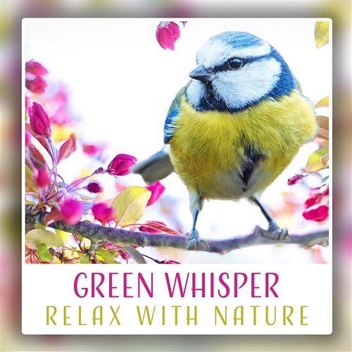 Green Whisper: Relax with Nature, Birds Sounds, Soothing Ambient, Harmony Music, Inner Heaven, Touching Calm Calm Singing Birds Zone