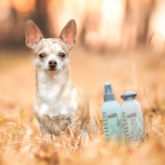 Greenfields Zestaw do pielęgnacji psów: szampon i spray, 2x250 ml Greenfields