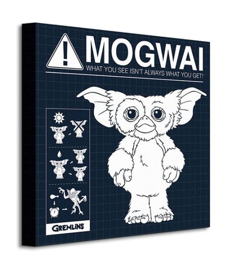 Gremlins Mogwai Rules - obraz na płótnie Pyramid International