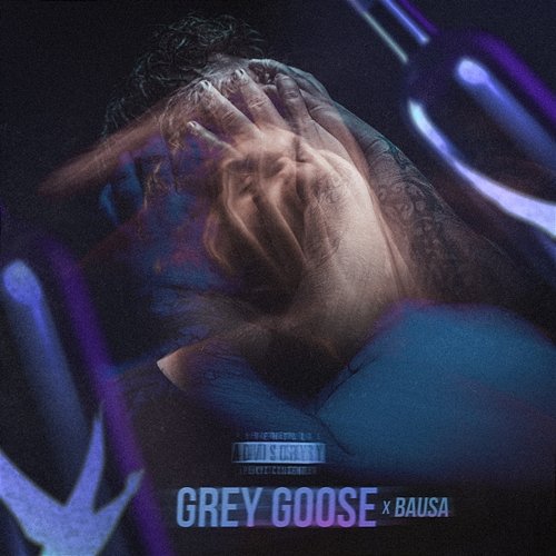 Grey Goose Bozza, Bausa