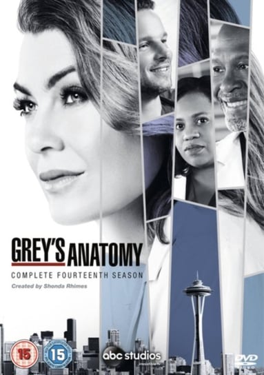 Grey's Anatomy: Complete Fourteenth Season (brak polskiej wersji językowej) Walt Disney Studios Home Ent.