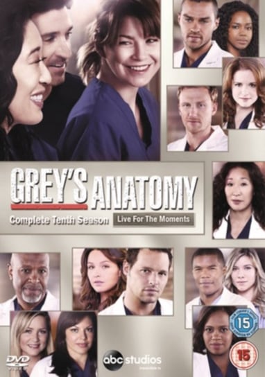 Grey's Anatomy: Complete Tenth Season (brak polskiej wersji językowej) 