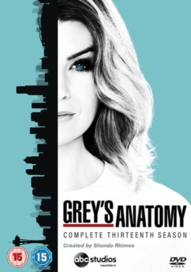Grey's Anatomy: Complete Thirteenth Season (brak polskiej wersji językowej) Walt Disney Studios Home Ent.