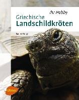 Griechische Landschildkröten Zirngibl Rainer