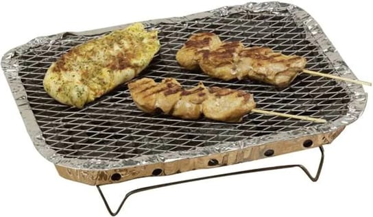 Grill piknikowy jednorazowy, BBQ LINE, 600g, 31x24x4,8cm BBQ LINE