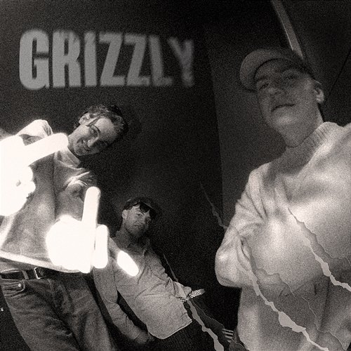 Grizzly Problembarn